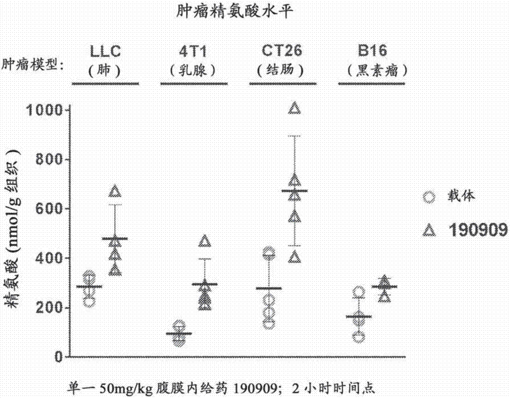 开云官网-16日女足世界杯推荐:美国女足VS智利女足(图1) 开云官网